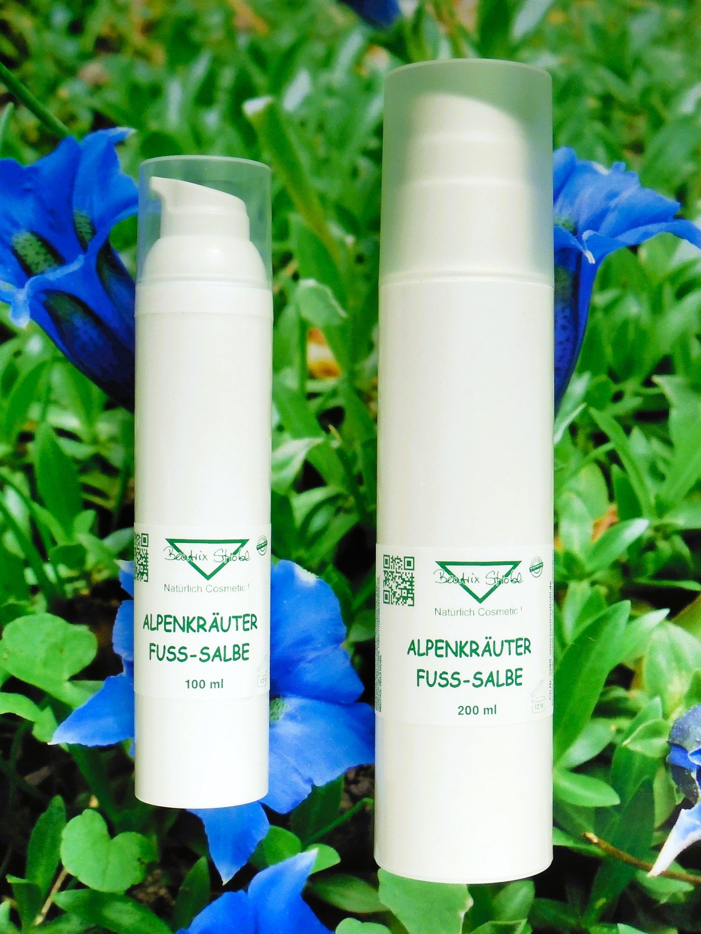 Alpenkräuter Fußsalbe Beatrix Strobl Cosmetic