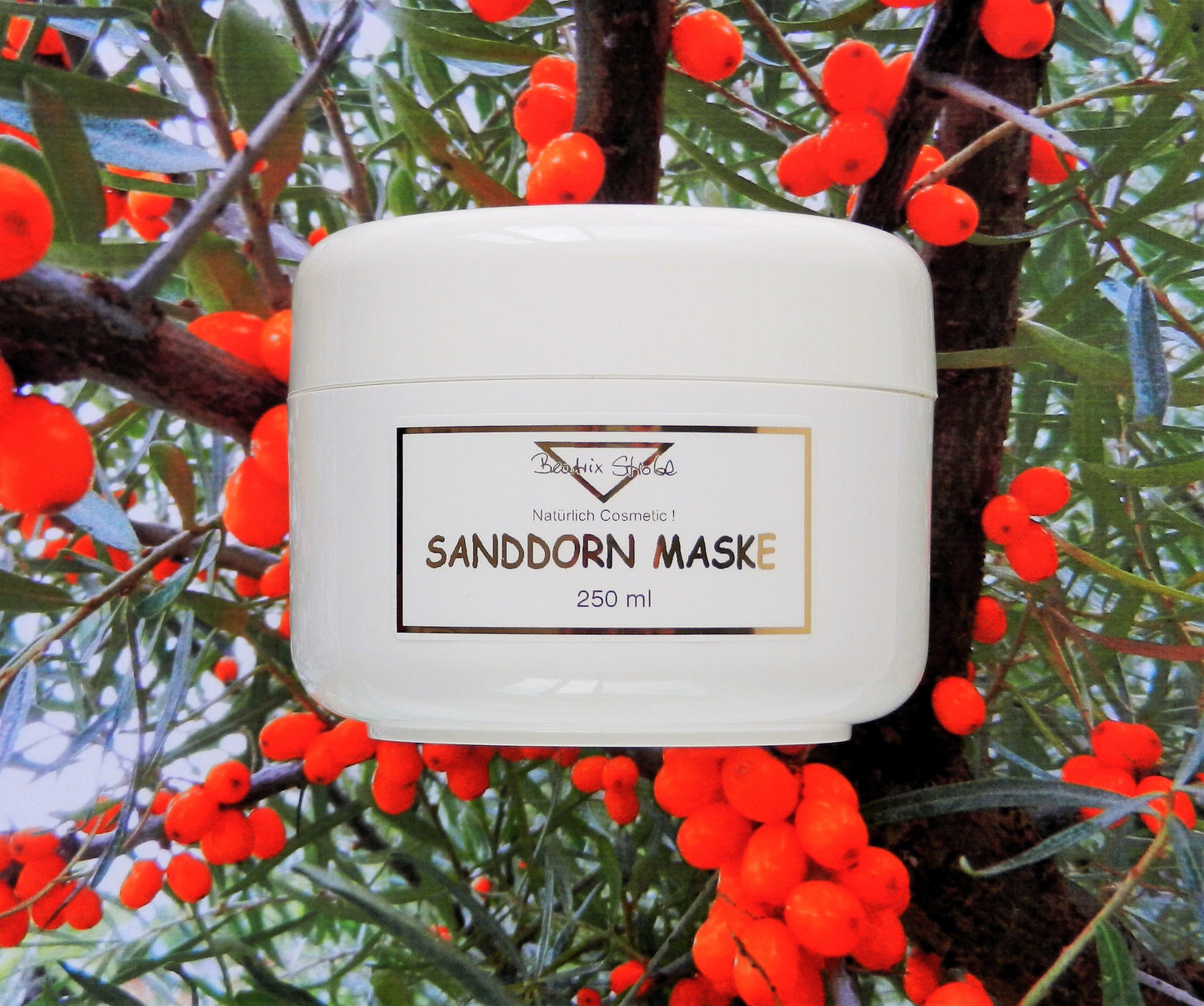 Sanddorn Maske Beatrix Strobl Cosmetic